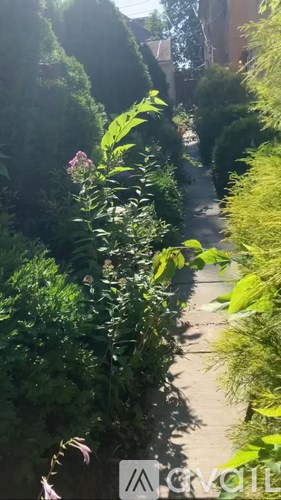 A narrow pathway is surrounded by green plants and trees.