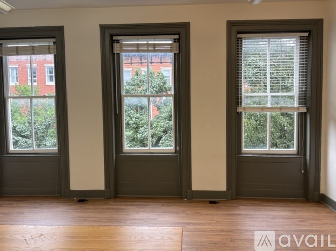 914 Saint Paul Street 1 Apartment for Rent - Photo gallery 2