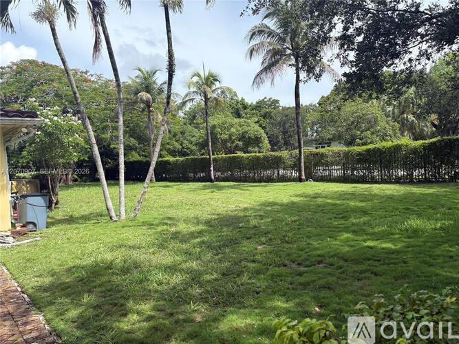 A lush green backyard with a hedge and palm trees.