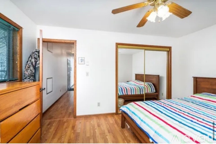 A bedroom with a bed, dresser, mirror and a ceiling fan.