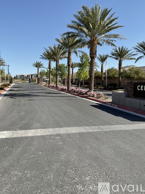 A street with palm trees on both sides.