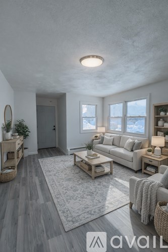 A living room with a grey sofa, wooden coffee table, and a rug.