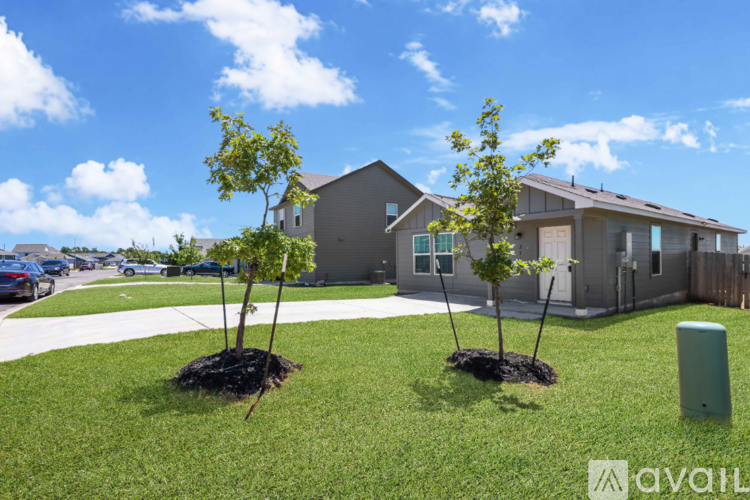 256 Texas Angel Wy 3 Beds Single Family Home for Rent - Photo gallery 3