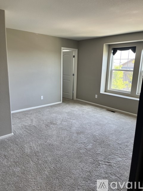 A room with a carpeted floor and a window with a view of trees outside.