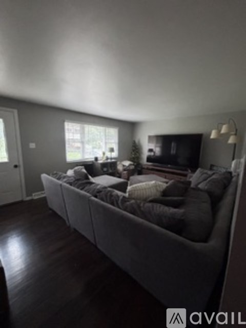 A living room with a grey couch and a window.