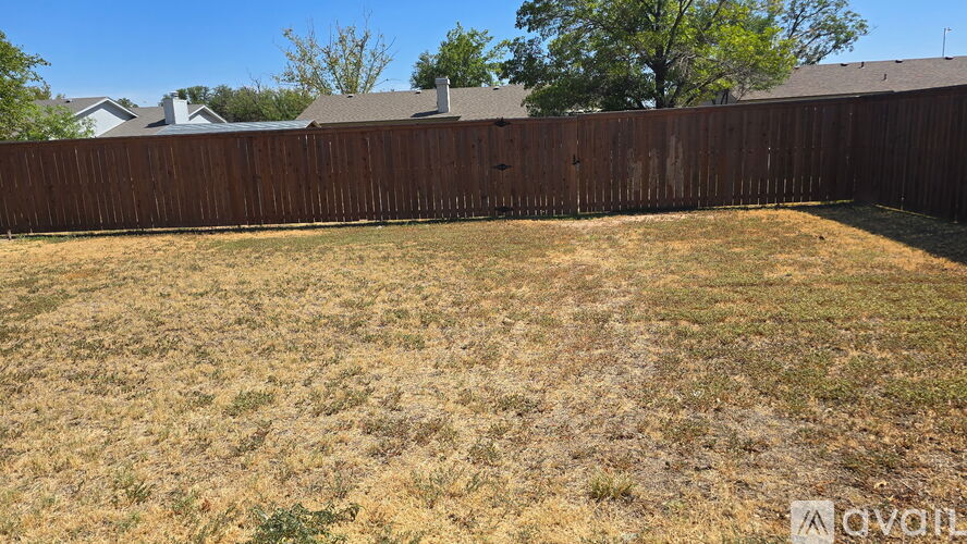A backyard with a brown fence and dry grass.