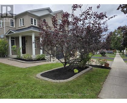 A tree with red leaves is in front of a grey house.