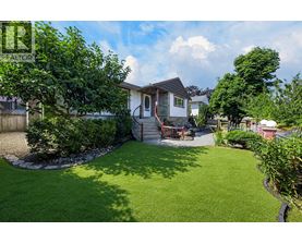 A backyard with a house, a lawn, and a tree.
