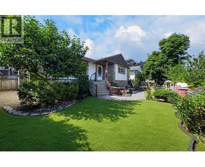 A backyard with a house, a lawn, and a tree.