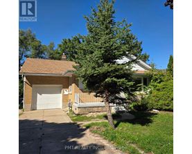 A house with a garage and a tree in front of it.