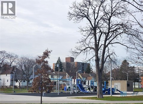 A playground with a blue slide and a tree in the foreground.
