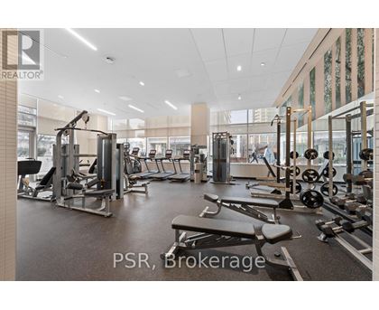 A gym with a variety of equipment including treadmills, weights, and benches.