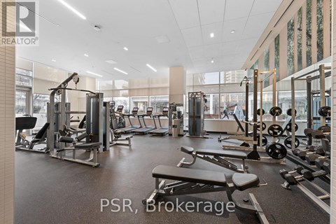 A gym with a variety of equipment including treadmills, weights, and benches.