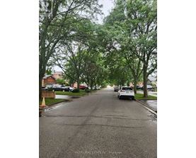 A residential street with cars parked on the side and trees lining the road.