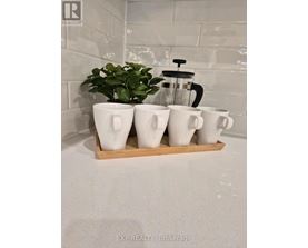 A tray of white mugs sits on a countertop.