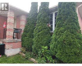A green shrub is in front of a red building.