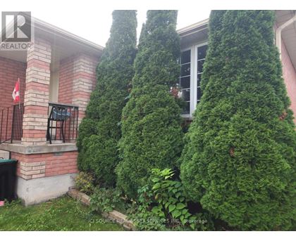 A green shrub is in front of a red building.