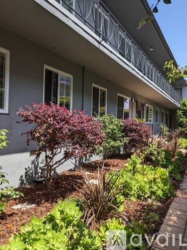 1419 15th Street 1 Condo for Rent - Photo gallery 2
