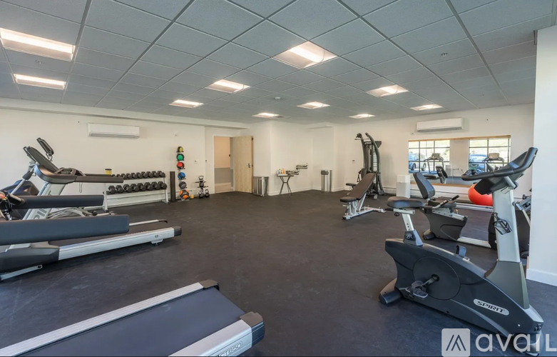 A gym with treadmills, exercise bikes, and weights.