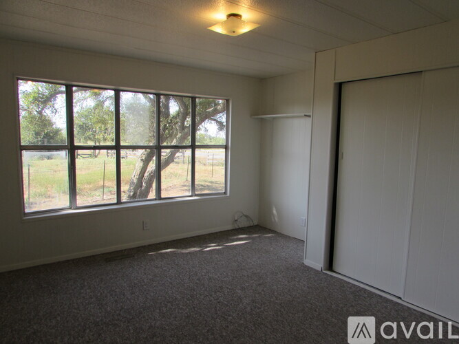 1018 Unit A FM 812 Farm To Market 3 Beds Single Family Home for Rent - Photo gallery 5