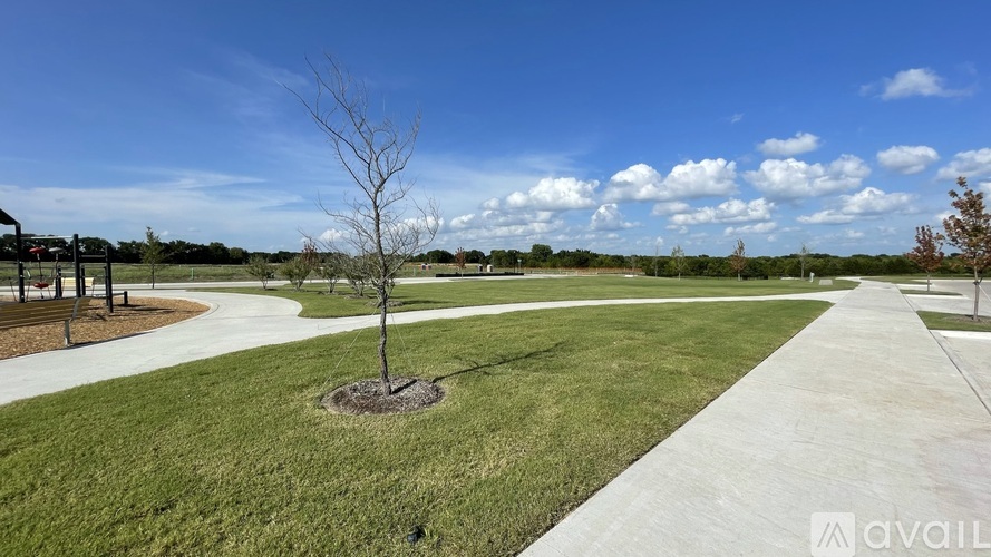 A leafless tree stands in a grassy field with a concrete walkway.