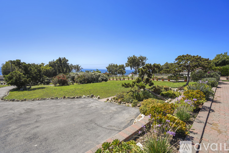 A paved area surrounded by greenery and trees.