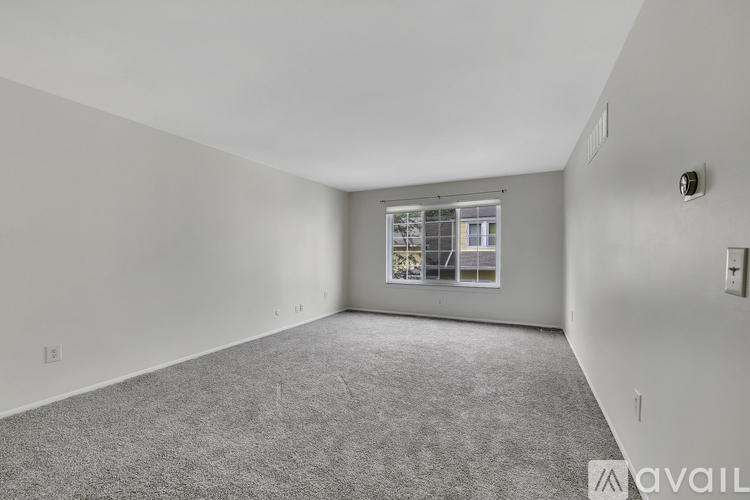 A spacious room with grey carpeting and a window with blinds.