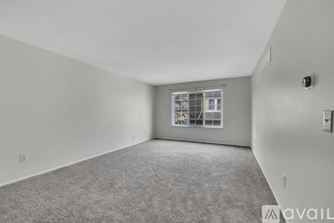 A spacious room with grey carpeting and a window with blinds.