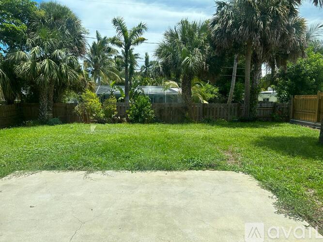 A backyard with a concrete area and palm trees.