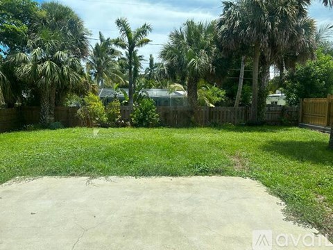 A backyard with a concrete area and palm trees.