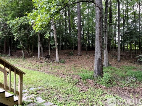 A forest with a wooden staircase on the left side.