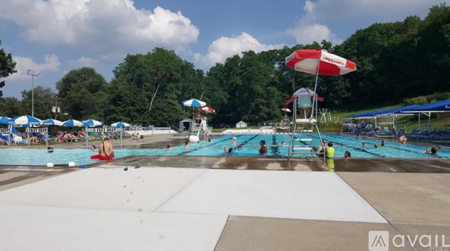 A sunny day at the outdoor pool with people swimming and relaxing.