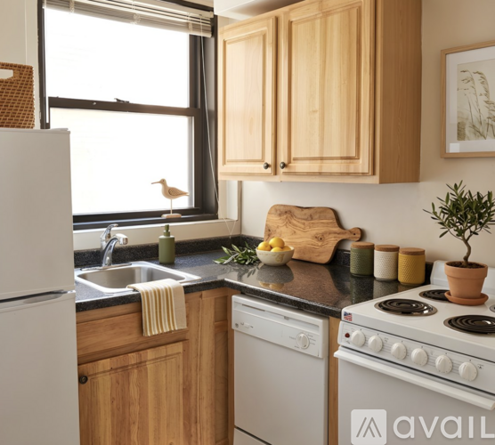 475 Commonwealth Ave 1 Apartment for Rent - Photo gallery 5