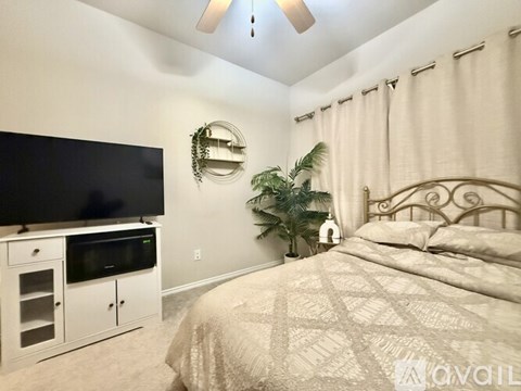 A bedroom with a bed, a television, and a plant.