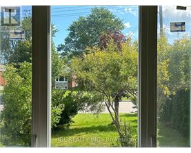 A tree with red flowers is seen through a window.