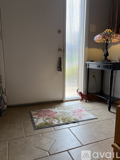A dog is standing in a hallway with a rug on the floor.
