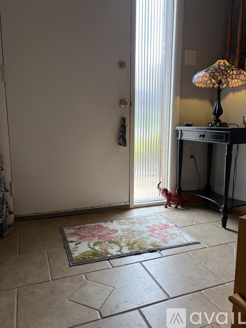 A dog is standing in a hallway with a rug on the floor.