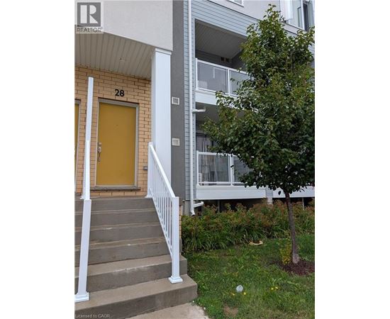 A tree is planted in front of a building with the number 28 on the door.
