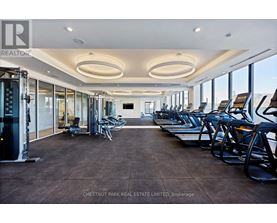 A gym with treadmills, weights, and exercise machines.