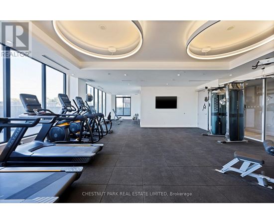 A gym with treadmills, exercise bikes, and weights.
