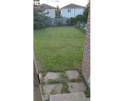 A backyard with a wooden fence and a small tree.