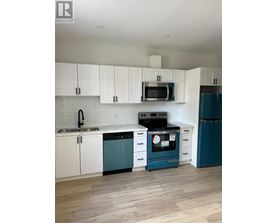 A kitchen with white cabinets and a blue dishwasher.
