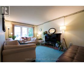 A living room with a brown couch, a white couch, a television, and a plant.