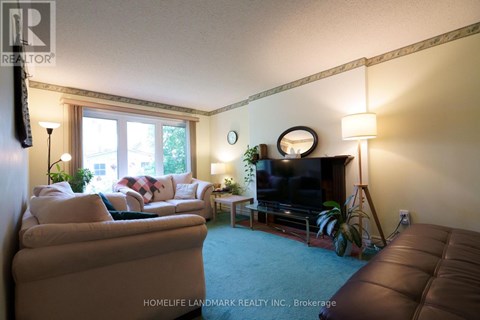 A living room with a brown couch, a white couch, a television, and a plant.