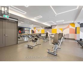 A gym with a variety of equipment including treadmills, weights and exercise machines.