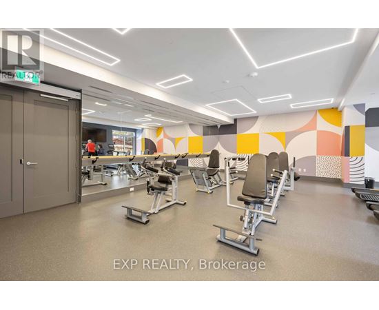 A gym with a variety of equipment including treadmills, weights and exercise machines.