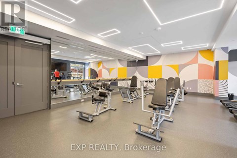 A gym with a variety of equipment including treadmills, weights and exercise machines.