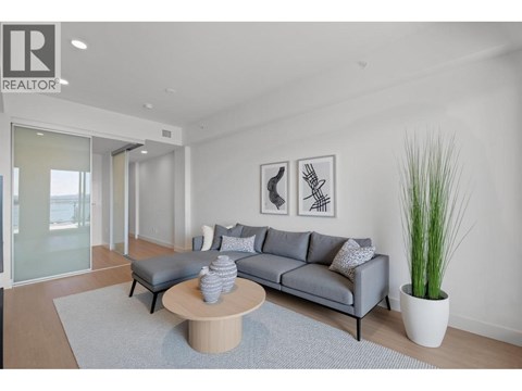 A living room with a grey couch, a coffee table, and a plant.