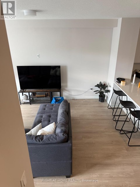 A living room with a grey couch and a television.