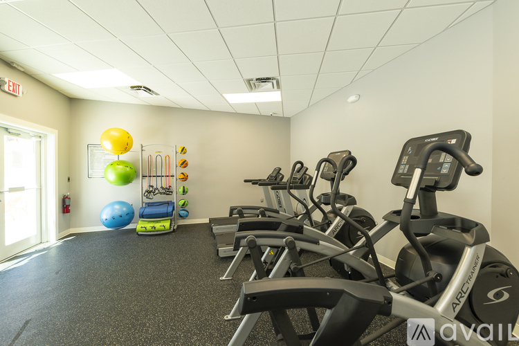 A gym with treadmills and exercise balls.
